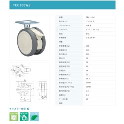 画像2: 東海キャスター　TEC100WS　双輪キャスター